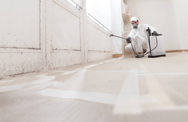24/7 Emergency Mold Remediation experts in Madison, NJ